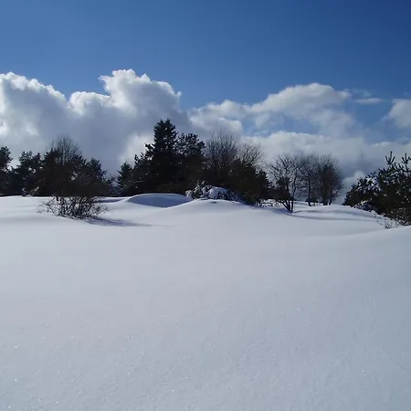Appartement Preising