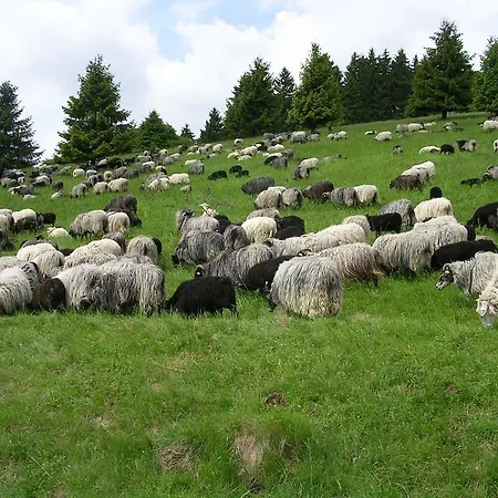 Preising Willingen (Upland)