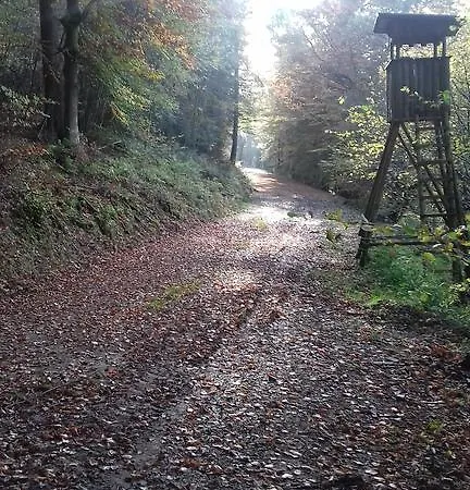 Preising * Willingen (Upland)