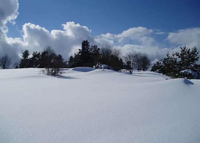 Appartamento Preising