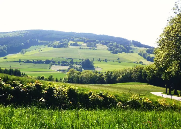 Lägenhet Preising Willingen (Upland)