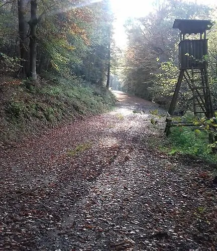 Preising * Willingen (Upland)